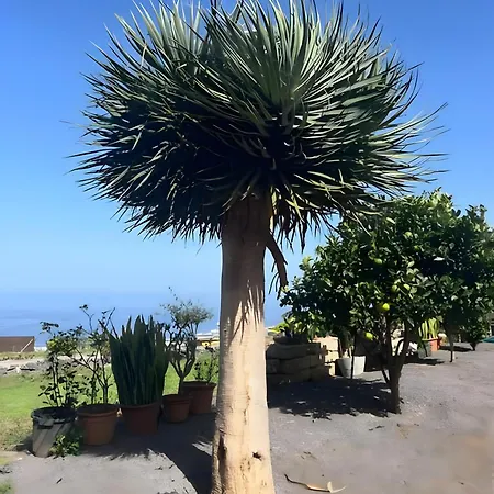 Feriehus Refugio Volcanes 2 Los Realejos